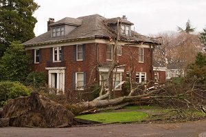 Residential Wind Damage